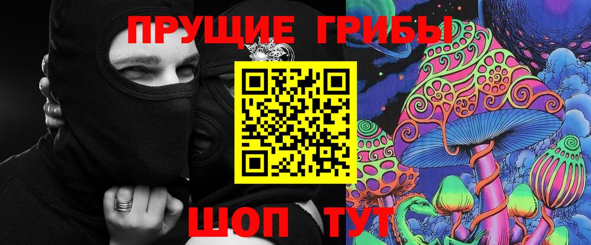 Псилоцибиновые грибы мицелий  Вход с VPN  Псилоцибиновые грибы мицелий  Сланцы 